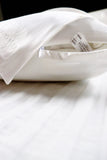 SET de 2 fundas de almohada bordadas con el logo FeverLess, de Seda Natural Mulberry con cierre Blanco SET de 2 fundas de almohada bordadas con el logo FeverLess, de Seda Natural Mulberry con cierre Blanco