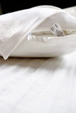 Glowing Hair & Skin SET - STANDARD Size Curling Kit + 1 FeverLess Pillowcase in WHITE Natural Silk Glowing Hair & Skin SET - STANDARD Size Curling Kit + 1 FeverLess Pillowcase in WHITE Natural Silk