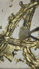 Tablou " Gold Foil Letter " Diferite Litere