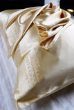 Glowing Hair & Skin SET - STANDARD Size Curling Kit + 1 FeverLess Pillowcase in Golden Natural Silk